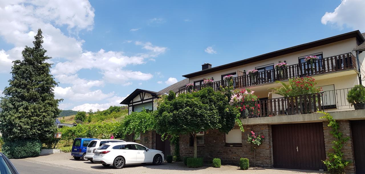 Weingut Erich Serwazi Mesenich Ngoại thất bức ảnh